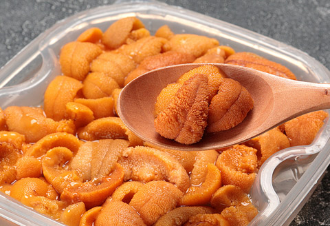 むきたて塩水ウニ(赤系含む)100～110g[2026年1月中旬以降発送] A-81017