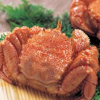 ＜12月21日決済分まで年内配送＞【北海道根室産】ボイル毛がに300g×3尾 C-01062