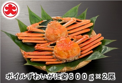＜12月21日決済分まで年内配送＞ボイルずわいがに姿600g×2尾 B-01056