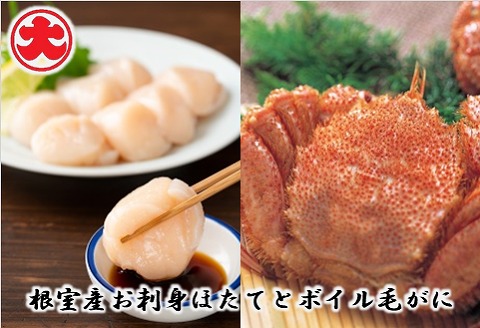 ＜12月21日決済分まで年内配送＞【北海道根室産】お刺身ほたて500g×1P、ボイル毛がに400g×1尾 B-01057