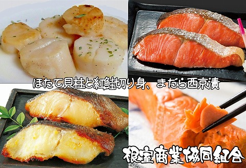 ほたて貝柱、紅鮭切身、まだら西京漬 B-18013