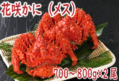 <年内配送可>【北海道根室産】花咲かに(メス)700～800g×2尾 B-19001