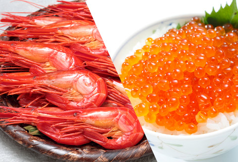 いくら醤油漬け300g・北海しまえび500g B-24010