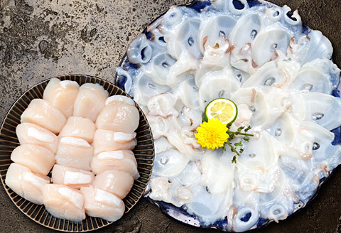 たこしゃぶ250g×4P(計1kg)・ほたて貝柱500gセット B-24013