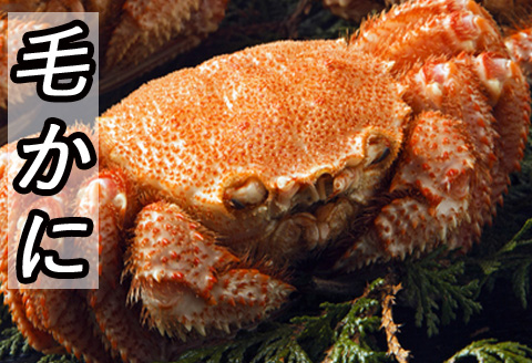 ＜12月21日決済分まで年内配送＞毛かに400g前後～550g前後×1尾 B-30021