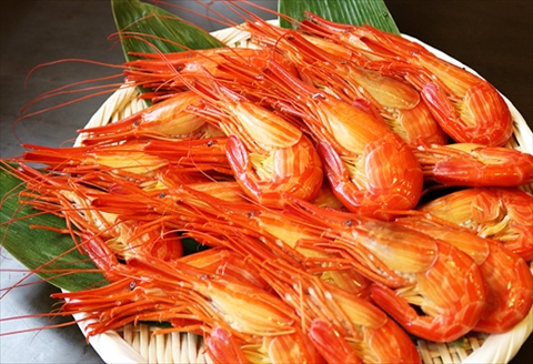 ＜12月17日決済分まで年内配送＞【北海道根室産】北海しまえび400g(約16～20尾)×2P C-32029