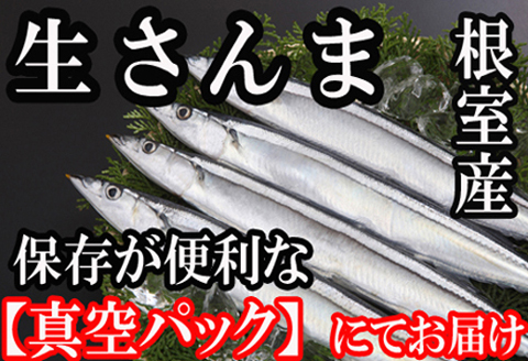 【北海道根室産】冷凍さんま30尾 B-36005