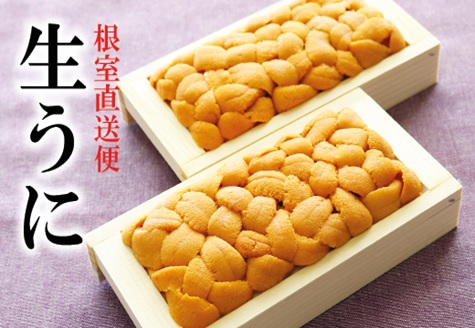 エゾバフンウニ100g×2折[2026年2月下旬以降発送] F-40001