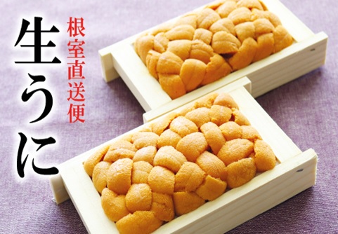 エゾバフンウニ70g×2折[2026年2月中旬以降発送] B-40025