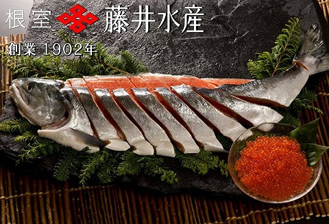 【北海道根室産】<鮭匠ふじい>秋鮭新巻鮭1.3kg・いくら50g×3P B-42010