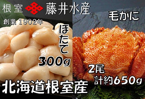 <年内配送可>【北海道根室産】お刺身帆立貝柱300g、ボイル毛がに2尾(計約650g) B-42074