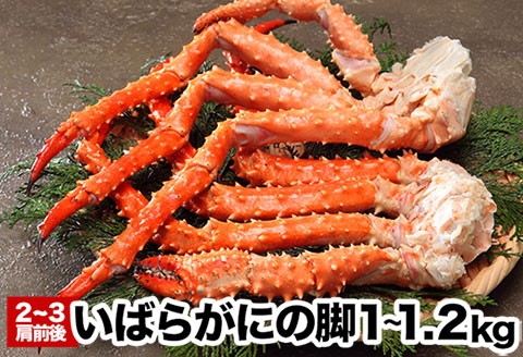 いばらがにの脚2～3肩前後(計1～1.2kg) A-48023