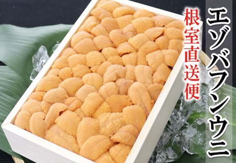 エゾバフンウニ140g×1折[2026年2月下旬以降順次発送] B-53015