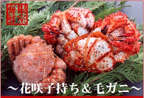 <年内配送可>【北海道根室産】花咲ガニメス子持ちと毛ガニセット B-57009