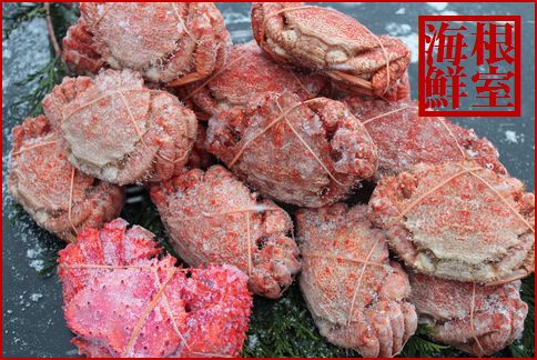 ＜12月21日決済分まで年内配送＞【北海道根室産】クリガニ18～22尾(計4kg前後)、花咲ガニ1尾 B-57023