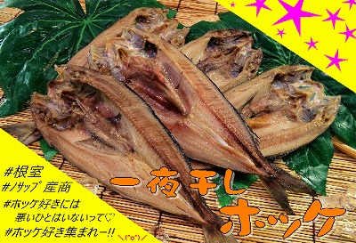 ＜12月21日決済分まで年内配送＞【北海道根室産】一夜干しホッケ5枚 B-59005