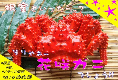 ＜12月21日決済分まで年内配送＞【北海道根室産】花咲ガニ2尾(計800g以上) B-59010