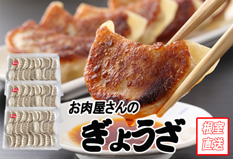 ＜12月21日決済分まで年内配送＞餃子25個×3P B-70041