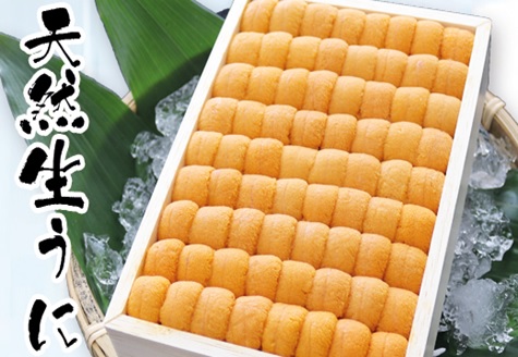 エゾバフンウニ並べ詰め150g×1折[2026年3月上旬以降発送] B-71012