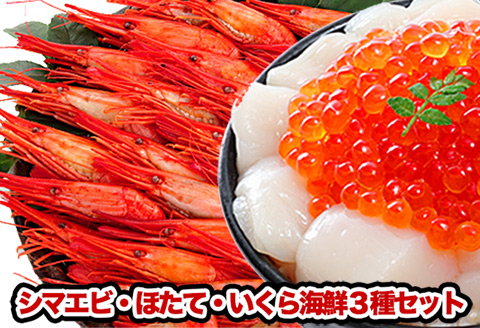 シマエビ500g・ほたて300g・いくら200gセット B-81004