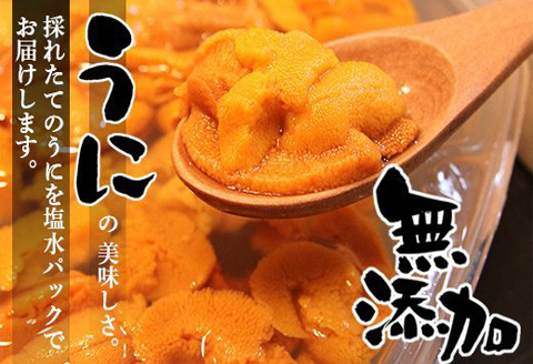 ＜12月7日決済分まで年内配送＞無添加蝦夷バフンウニ塩水パック100g×2P F-90003