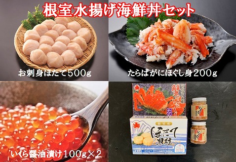 ＜12月21日決済分まで年内配送＞【北海道根室産】根室水揚げ海鮮丼セット C-01001