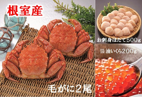 ＜12月21日決済分まで年内配送＞【北海道根室産】ボイル毛がに、醤油いくら、ほたてセット C-01006
