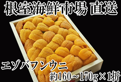 エゾバフンウニ(黄系)160～170g×1折 C-14038
