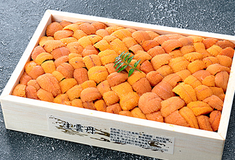 エゾバフンウニ約240g×1折[2026年3月上旬以降発送] F-24002