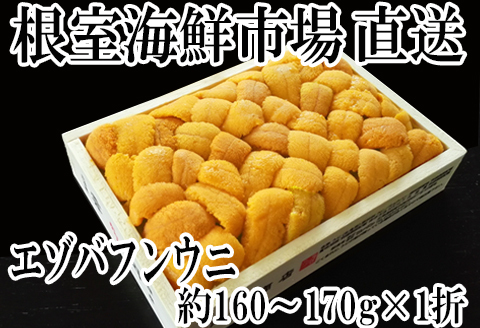 根室海鮮市場＜直送＞エゾバフンウニ(黄系)160～170g×1折 C-28039