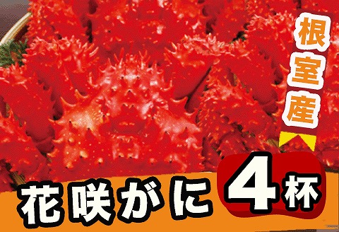 【北海道根室産】ボイル花咲蟹4尾 C-29012