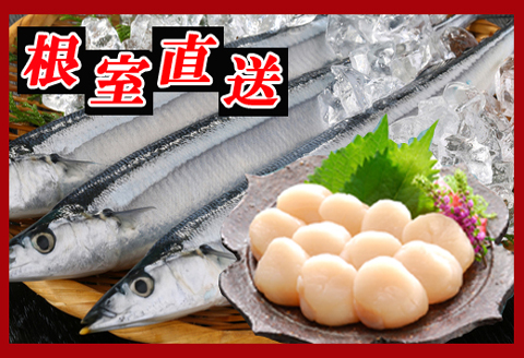 ＜12月21日決済分まで年内配送＞冷凍生さんま5尾×5P、ほたて貝柱200g×2Pセット C-30038
