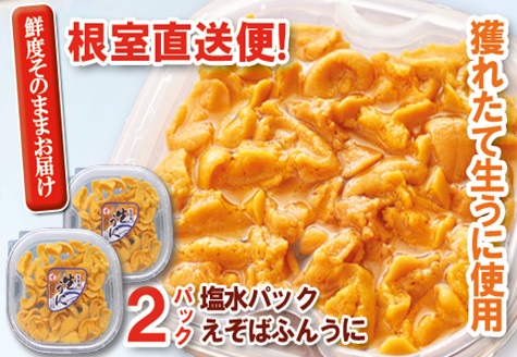 エゾバフンウニ塩水パック100～110g×2P[2026年2月下旬以降発送] F-40003