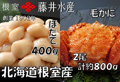 <年内配送可>【北海道根室産】お刺身帆立貝柱400g、ボイル毛がに2尾(計約800g) C-42070