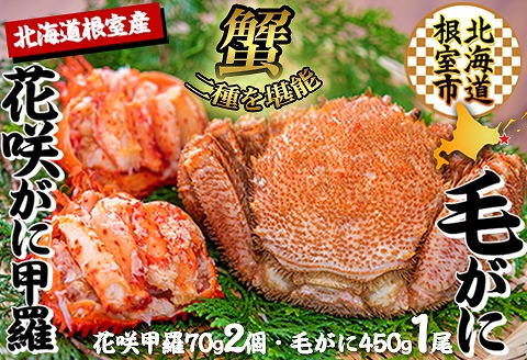 【北海道根室産】花咲ガニむき身甲羅盛り70g×2P、毛がに約450g×1尾 C-45013