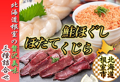 【北海道根室産】生くじら約300g、鮭ほぐし80g×2瓶、ほたて500g C-45015