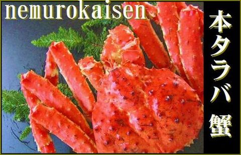 ＜12月21日決済分まで年内配送＞本タラバガニ1.0～1.2kg前後×1尾 C-57013