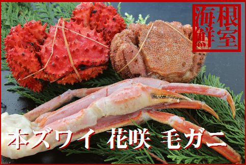 本ズワイガニ・花咲ガニ・毛ガニセット C-57025