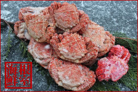 ＜12月21日決済分まで年内配送＞【北海道根室産】クリガニ13～17尾(計4kg前後)、花咲ガニ1尾 C-57026