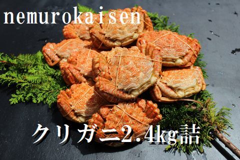 ＜12月21日決済分まで年内配送＞【北海道根室産】クリガニ200～250g×10～12尾(計2.4kg) C-57038