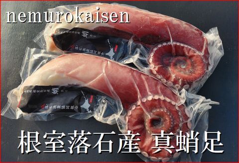 ＜12月21日決済分まで年内配送＞【北海道根室産】刺身用真だこ足800g～1.2kg前後×2本 C-57045