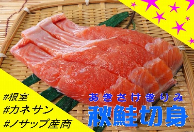 【北海道根室産】生冷凍秋鮭切身3切×10P C-59005