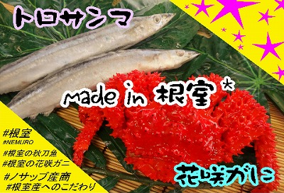 ＜12月21日決済分まで年内配送＞【北海道根室産】花咲ガニ2尾(計800g以上)、冷凍サンマ10尾 C-59007
