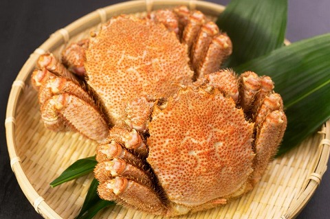 ＜12月10日決済分まで年内配送＞【北海道根室産】ボイル毛蟹450g前後×2尾 C-66013