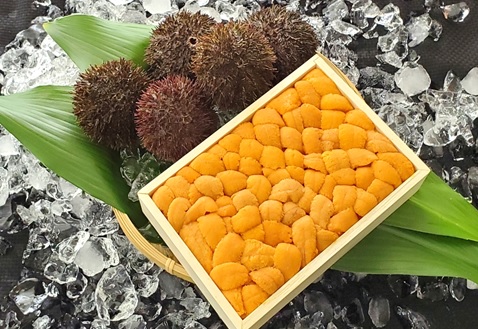 ＜12月17日決済分まで年内配送＞エゾバフンウニバラ詰め150g×1折 C-71024