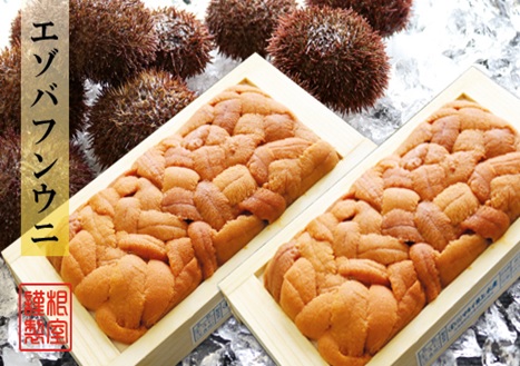 エゾバフンウニ100g×2折[2026年3月中旬以降発送] C-71025