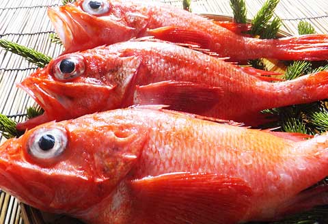 ＜12月10日決済分まで年内配送＞【北海道根室産】キンキ(下ごしらえ済)×3尾 C-72001