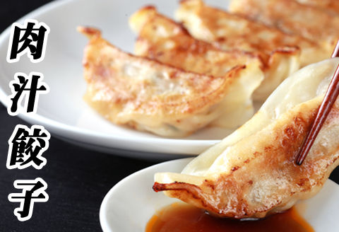 【12/31決済分まで1月中配送】 餃子25個×4P C-76025