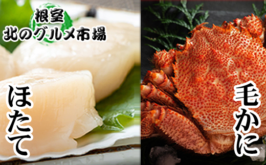 ＜12月21日決済分まで年内配送＞毛かに400g前後～550g前後×1尾・ほたて貝柱200g×1Pセット C-76034