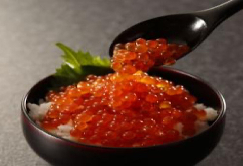 【12/31決済分まで1月中配送】 【北海道根室産】いくら醤油漬け500g D-89010